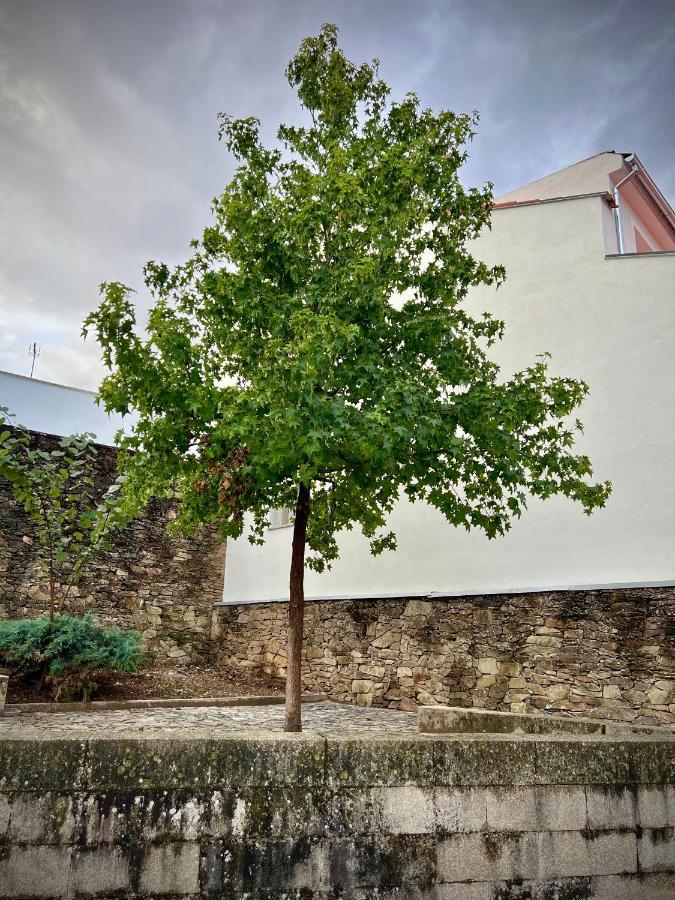 Cantinho Do Castelo Bragança Εξωτερικό φωτογραφία